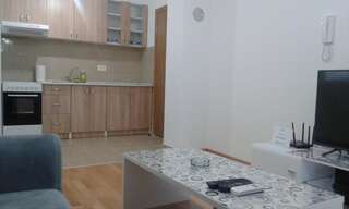 Апартаменты Comfort Apartment Никшич Апартаменты с 1 спальней-28