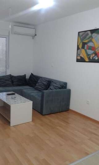 Апартаменты Comfort Apartment Никшич Апартаменты с 1 спальней-33