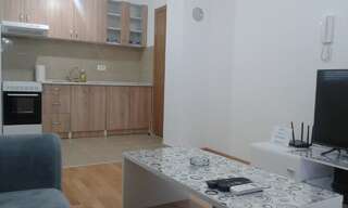 Апартаменты Comfort Apartment Никшич Апартаменты с 1 спальней-4