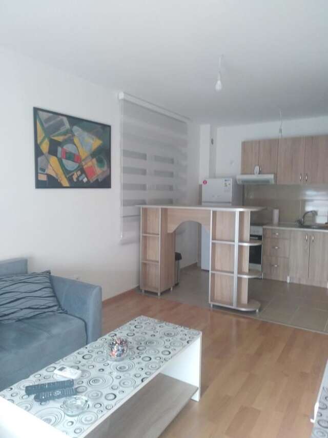 Апартаменты Comfort Apartment Никшич-4