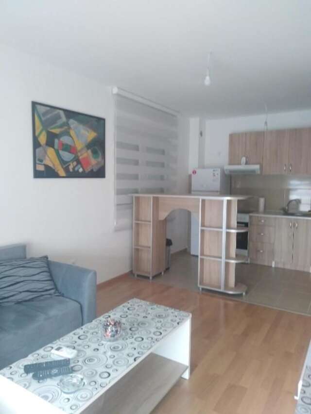 Апартаменты Comfort Apartment Никшич-36